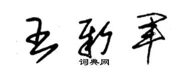 朱錫榮王新軍草書個性簽名怎么寫