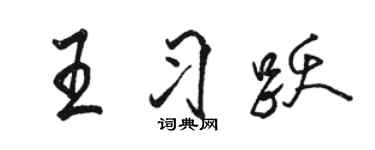 駱恆光王習躍行書個性簽名怎么寫