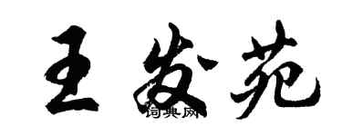 胡問遂王發苑行書個性簽名怎么寫