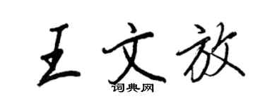 王正良王文放行書個性簽名怎么寫