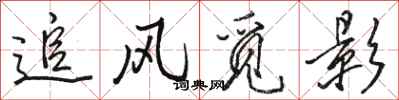駱恆光追風覓影行書怎么寫