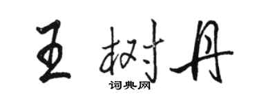 駱恆光王樹丹行書個性簽名怎么寫