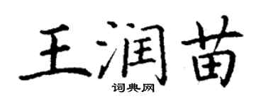 丁謙王潤苗楷書個性簽名怎么寫