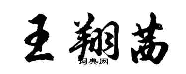 胡問遂王翔茜行書個性簽名怎么寫