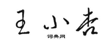 駱恆光王小杏草書個性簽名怎么寫