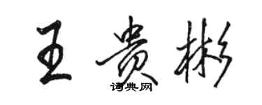 駱恆光王貴彬行書個性簽名怎么寫