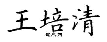 丁謙王培清楷書個性簽名怎么寫
