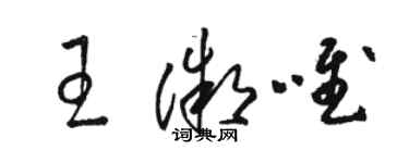 駱恆光王微唯草書個性簽名怎么寫