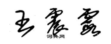 朱錫榮王震霞草書個性簽名怎么寫