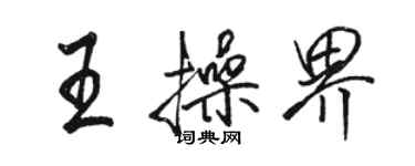 駱恆光王操界行書個性簽名怎么寫