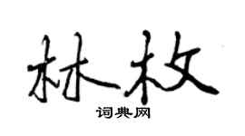 曾慶福林枚行書個性簽名怎么寫