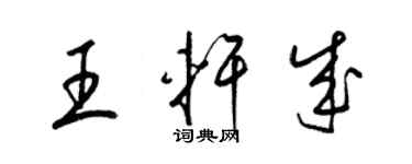 梁錦英王軒成草書個性簽名怎么寫