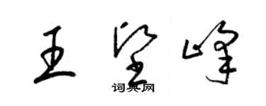 梁錦英王堅峰草書個性簽名怎么寫