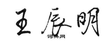 駱恆光王辰明行書個性簽名怎么寫