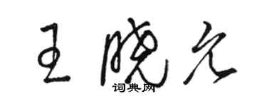 駱恆光王曉允草書個性簽名怎么寫