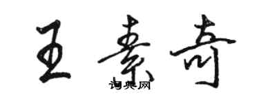 駱恆光王素奇行書個性簽名怎么寫