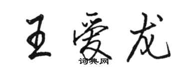 駱恆光王愛龍行書個性簽名怎么寫