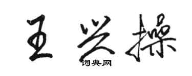 駱恆光王興操行書個性簽名怎么寫