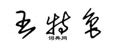 朱錫榮王特魯草書個性簽名怎么寫