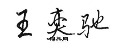 駱恆光王奕馳行書個性簽名怎么寫