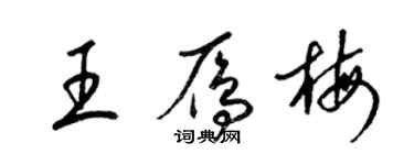 梁錦英王雁梅草書個性簽名怎么寫