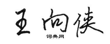 駱恆光王向俠行書個性簽名怎么寫