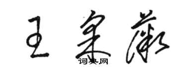 駱恆光王採薇草書個性簽名怎么寫