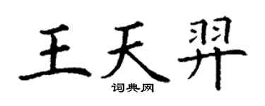 丁謙王天羿楷書個性簽名怎么寫