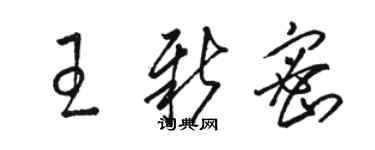 駱恆光王新密草書個性簽名怎么寫