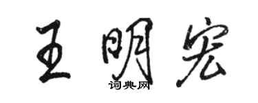 駱恆光王明宏行書個性簽名怎么寫