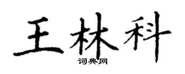 丁謙王林科楷書個性簽名怎么寫