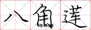 龐中華八角蓮楷書怎么寫