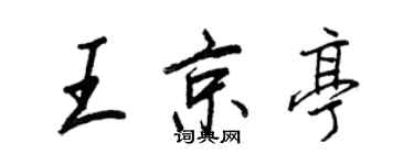 王正良王京亭行書個性簽名怎么寫