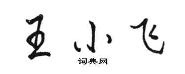 駱恆光王小飛行書個性簽名怎么寫