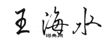 駱恆光王海水行書個性簽名怎么寫