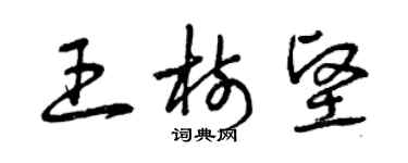 曾慶福王樹堅草書個性簽名怎么寫