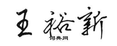 駱恆光王裕新行書個性簽名怎么寫