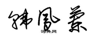 朱錫榮韓鳳蘭草書個性簽名怎么寫