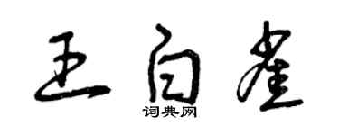 曾慶福王白雀草書個性簽名怎么寫