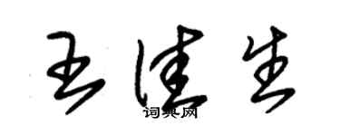 朱錫榮王佳生草書個性簽名怎么寫
