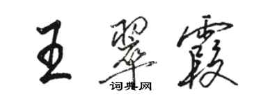 駱恆光王翠霞行書個性簽名怎么寫