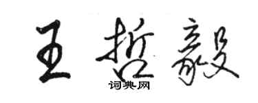 駱恆光王哲毅行書個性簽名怎么寫