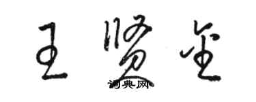 駱恆光王賢金草書個性簽名怎么寫