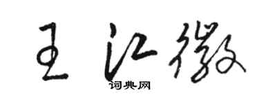 駱恆光王江徽草書個性簽名怎么寫