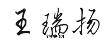 駱恆光王瑞揚行書個性簽名怎么寫