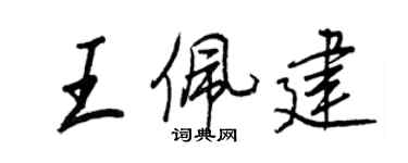 王正良王佩建行書個性簽名怎么寫
