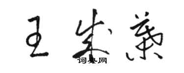 駱恆光王成葉草書個性簽名怎么寫