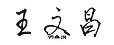 駱恆光王文昌行書個性簽名怎么寫