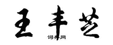 胡問遂王豐芝行書個性簽名怎么寫