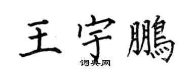 何伯昌王宇鵬楷書個性簽名怎么寫
